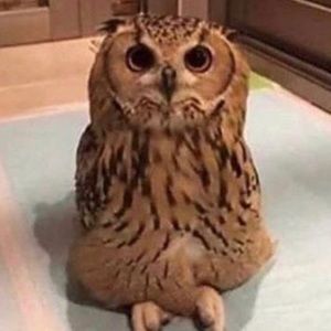 Meet your Posher, Kendell